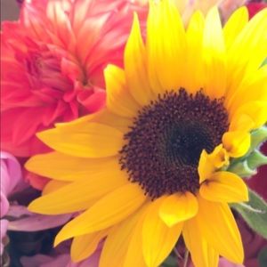 Meet your Posher, Abdu